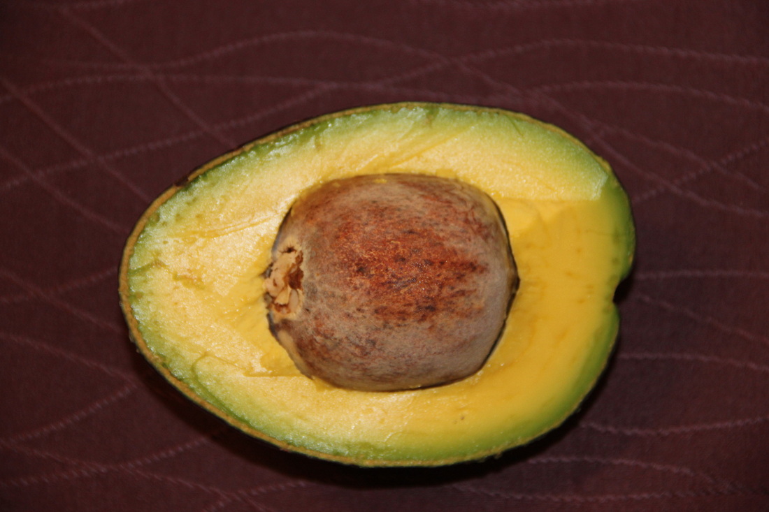 Oro negro avocado